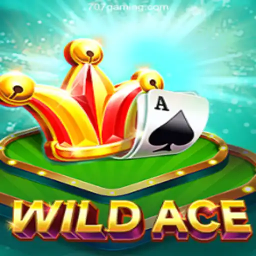 Exploring WildAce: A Premium Casino Experience in Brazil